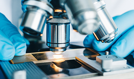 Using a Microscope